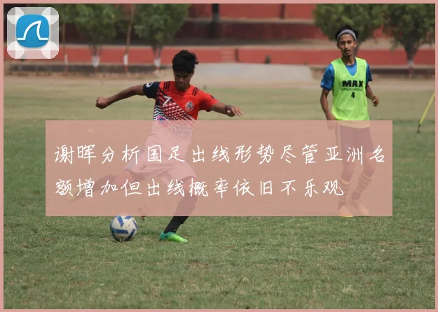 谢晖分析国足出线形势尽管亚洲名额增加但出线概率依旧不乐观